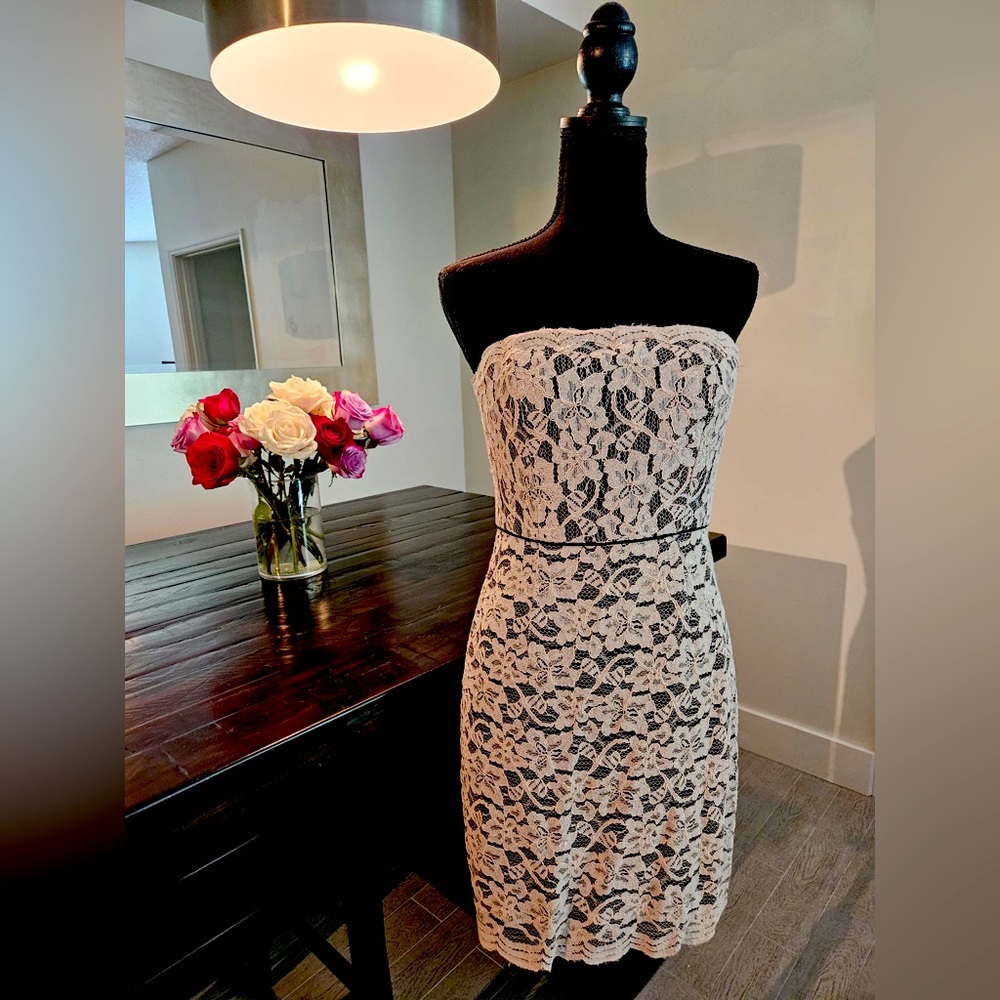 Dianne VonFurstenberg Lace Dress